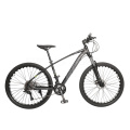 29 inch aluminium downhill mountain bicycle / kids mountain bike / double wall alloy rim mountain cycle mountainbike for sale